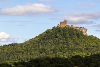 Brug Trifels, Annweiler, mixed forest, sandstone rock, Pfläzerwald, Rhineland-Palatinate, Germany