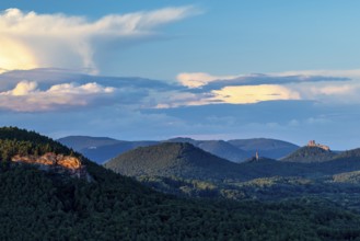 View of Trifels Castle and Anebos Castle, mixed forest, Annweiler, Pfläzerwald,