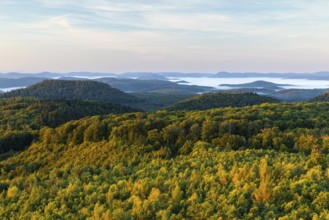 View over the Palatinate Forest, mixed forest, dawn, fog, Luipoldsturm, Hermansbergdorf,