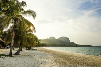 White sandy beach and coconut palms, sunset, Pearl Beach, Koh Mook, Trang Province, Southern