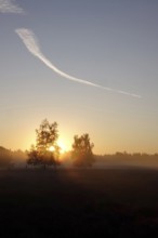 Morning atmosphere in a heath landscape, morning sun and fog, summer, Germany
