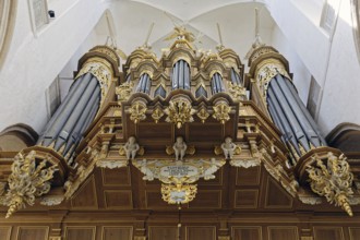 Stellwagen organ, built 1653-1659 by Friedrich Stellwagen, Baroque, St Mary's Church, also known as