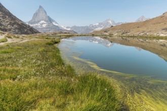 A calm lake reflects a high mountain, with gentle grasses covering the edge of the water. The scene