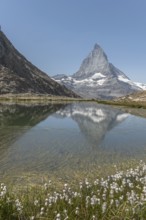 A marvellous view of the Matterhorn, which lies majestically above a calm lake and reflects its