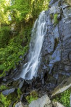Vaucoux waterfall cascades gracefully over dark rocks, surrounded by lush greenery, Auvergne