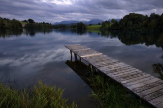Bathing jetty, jetty, wooden jetty, jetty, leads into a lake, bathing lake, Schwaltenweiher near