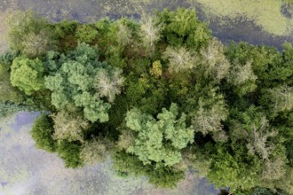 Aerial view, islands in the Drau, river, Brenndorf bird sanctuary, Carinthia, Austria