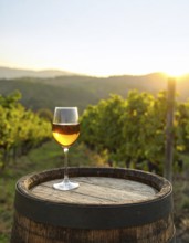 Glass of 10-year-old tawny wine placed on a barrel in a vineyard restaurant, AI generated