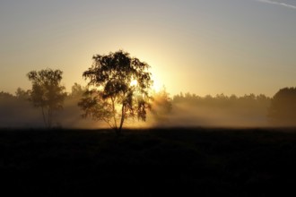 Landscape with rising sun, August, Germany