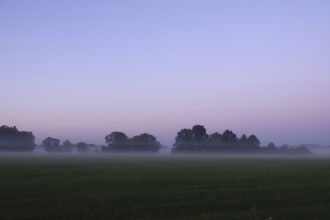Landscape with morning fog, Summer, Saxony, Germany