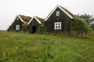 Nyibær, a medium-sized farmhouse with a sod roof, now a museum, Holar, Iceland