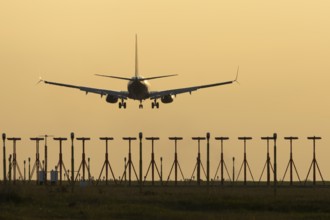 Boeing 737 jet passenger aircraft of Ryanair airlines landing over runway lights at sunset, London