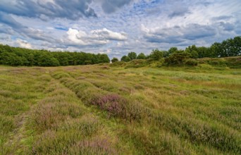Ripple-crowned dune area in the Schleswig-Holstein municipality of Jörl. The nature reserve Düne am