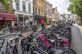 Ride your bike in the city centre of Groningen, old town, designated areas where bikes may be
