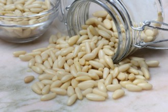 Pine nuts in glass containers, Pinus pinea