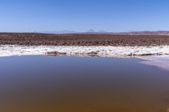 Coloured salt formations at the Lagunas Escondidas de Baltinache, Atacama Desert, Toconao, San