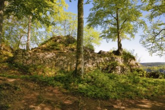 Ruin of Alter Lichtenstein near Lichtenstein Castle, eaves of the Swabian Alb, trees, deciduous