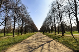 Walkers in the lime tree avenue, beginning scilla blossom, sunny weather, Hanover, Germany