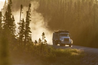 Transport truck driving on a dusty forest track, Province of Quebec, Canada, North America