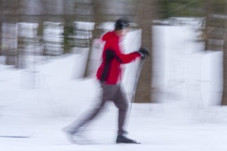 Person skiing, Slow motion image, City of Montreal, Province of Quebec, Canada, North America