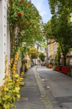 Luisenstraße in the Luisenviertel, nightlife district in the old town of Wuppertal, Germany,