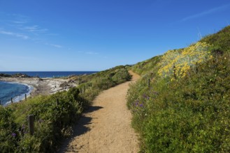 Picturesque hiking trail on the coast, Sentier du littoral, Cap Taillat, Saint Tropez, Var, French