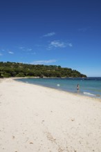 Sandy beach beach, Plage de Tahiti, Saint Tropez, Var, French Riviera, Provence-Alpes-Cote d'Azur,