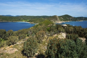 Picturesque hiking trail on the coast, Sentier du littoral, Plage Ranc, Cap Taillat, Saint Tropez,