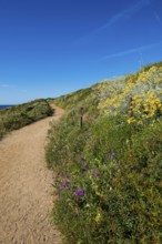 Picturesque hiking trail on the coast, Sentier du littoral, Cap Taillat, Saint Tropez, Var, French