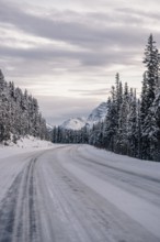 Winter road trip on the Icefields Parkway with lots of snow and ice, Banff National Park, Jasper