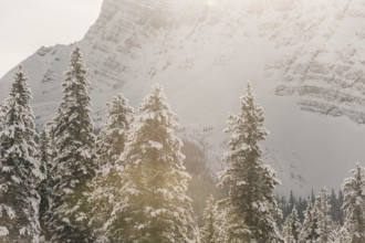 Winter road trip on the Icefields Parkway with lots of snow and ice, Banff National Park, Jasper