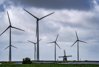 Westereems and Growind wind farms, over 80 wind turbines in total, at the seaport of Eemshaven,