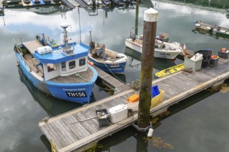 Fishing boats at moorings in harbour, Torquay, Devon, England, UK TH156 'Courageous Spirit'