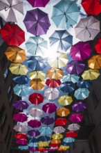 Coloured umbrellas, Interlaken, Bern, Switzerland