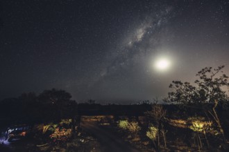 Milky Way with starry sky in the Australian outback, Australia