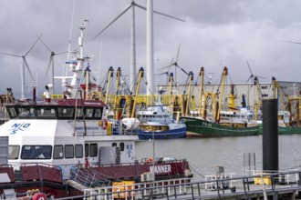 Fishing boats in Beatrixhaven, the seaport of Eemshaven, industrial harbour, at the quay,