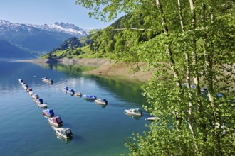 Motorboats moored at the reservoir, snow-covered Alps in the background, Lake Wägital, Canton