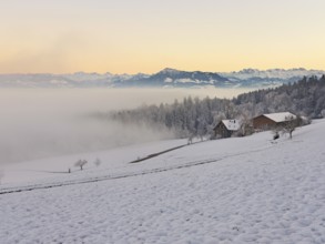 Farm in a freshly snow-covered landscape, behind the Alps with Rigi, Horben, Freiamt, Canton