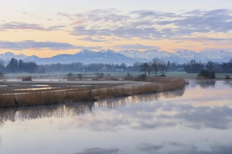 Nature reserve Stille Reuss, behind the Rigi, Rottenschwil, Reusstal, Freiamt, Canton Aargau,