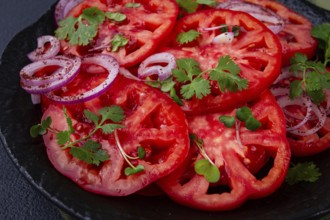 Freshly sliced tomatoes and red onions, garnished with herbs, on a black plate, summer salad, no