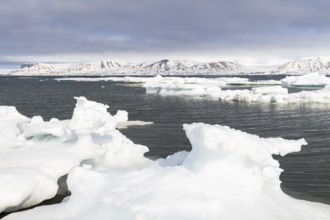 Drift ice, sea ice, sea, mountain range, Faksevagen, Spitsbergen, Svalbard