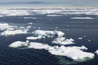 Drift ice, sea ice, sea, mountain range, snow, Faksevagen, Spitsbergen, Svalbard