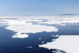 Drift ice, sea ice, sea, Faksevagen, Spitsbergen, Svalbard