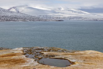 Discoloured rock, sinter, mountain range, sea, Jotunkjeldene, Spitsbergen, Svalbard