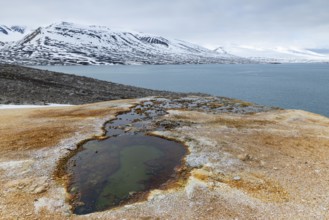 Hot spring, discoloured rock, sinter, mountain range, sea, Jotunkjeldene, Spitsbergen, Svalbard