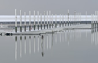Winter day, onset of winter, snow on the jetties in the marina, North Sea, Norddeich, Lower Saxony,