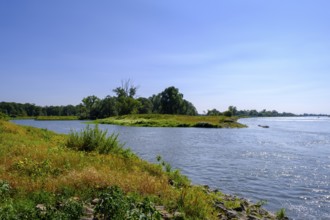 Elbe near Havelberg, Saxony-Anhalt, Germany