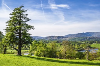 Farms in Lake District National Park, Cumbria, England, United Kingdom