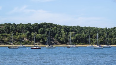 Boats over Brownsea Island, Poole, Dorset, England, United Kingdom