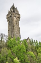 The National Wallace Monument, William Wallance Monument, Stirling, Scotland, UK